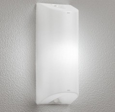 OG254673NR オーデリック エクステリアライト LED 直送